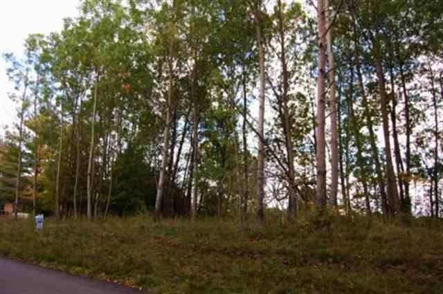 Torch Lake Twp, MI 49648,282 Lakeview Trail