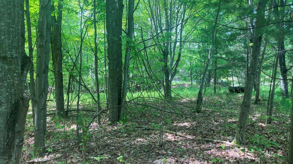 Clearwater Twp, MI 49676,Lot 6 Trosko Road