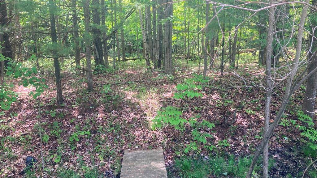 Clearwater Twp, MI 49676,Lot 6 Trosko Road