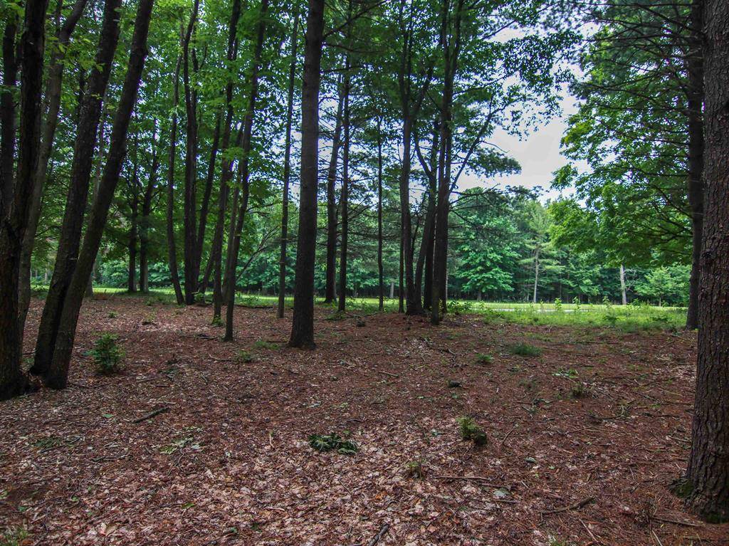 Weldon Twp, MI 49683,0000-Unit 41 Trailside Drive