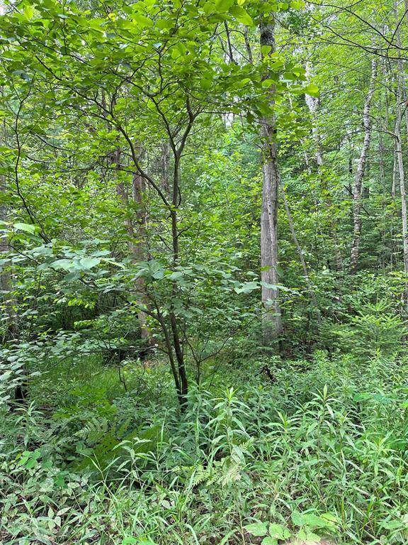 Bear Lake Twp, MI 19646,000 Birchcrest