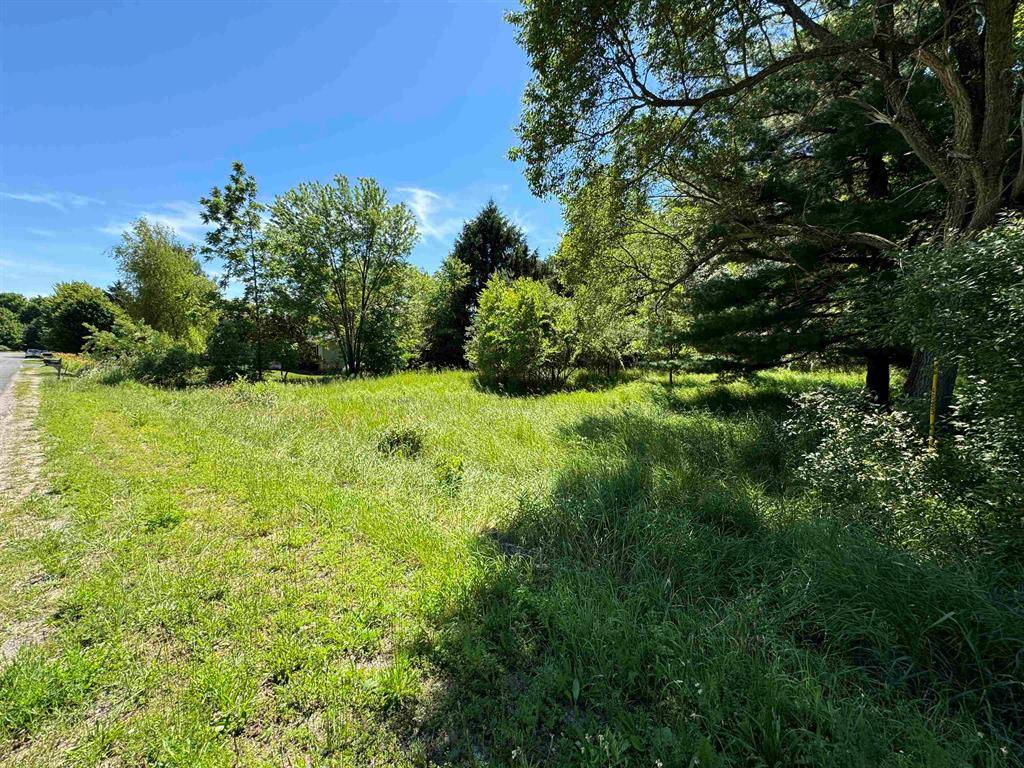 Centerville Twp, MI 49621,00 S Ski View Circle Lots #27