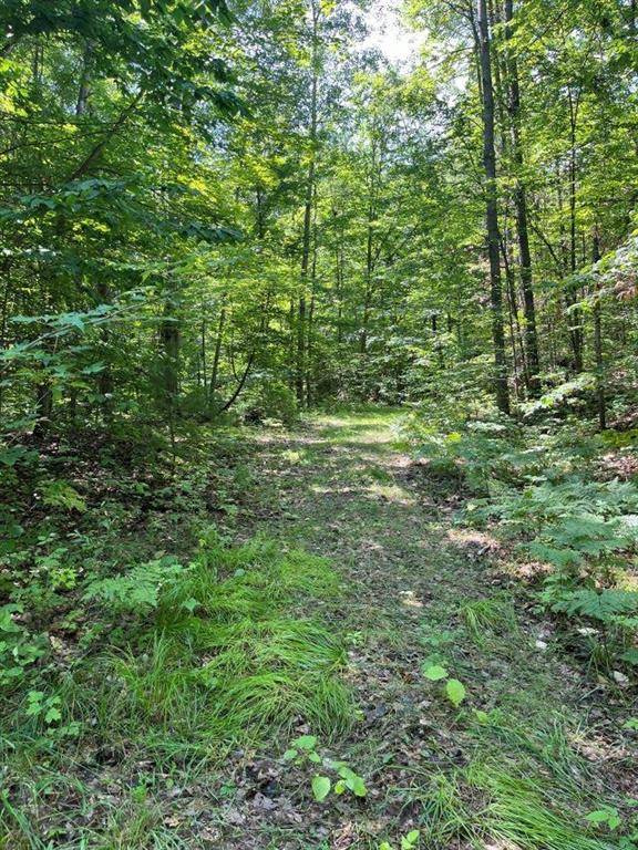 Rose Lake Twp, MI 49655,211 Logging Trail