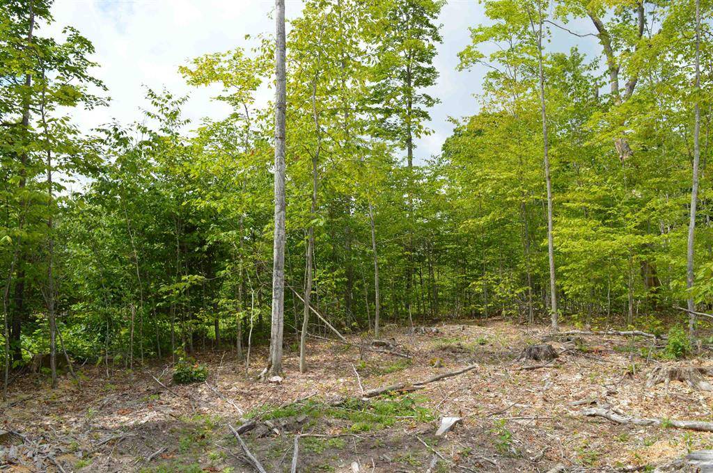Star Twp, MI 49730,Hardwood