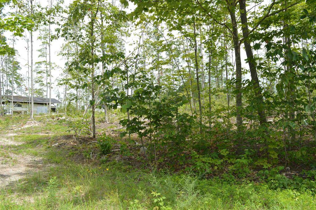 Star Twp, MI 49730,Hardwood