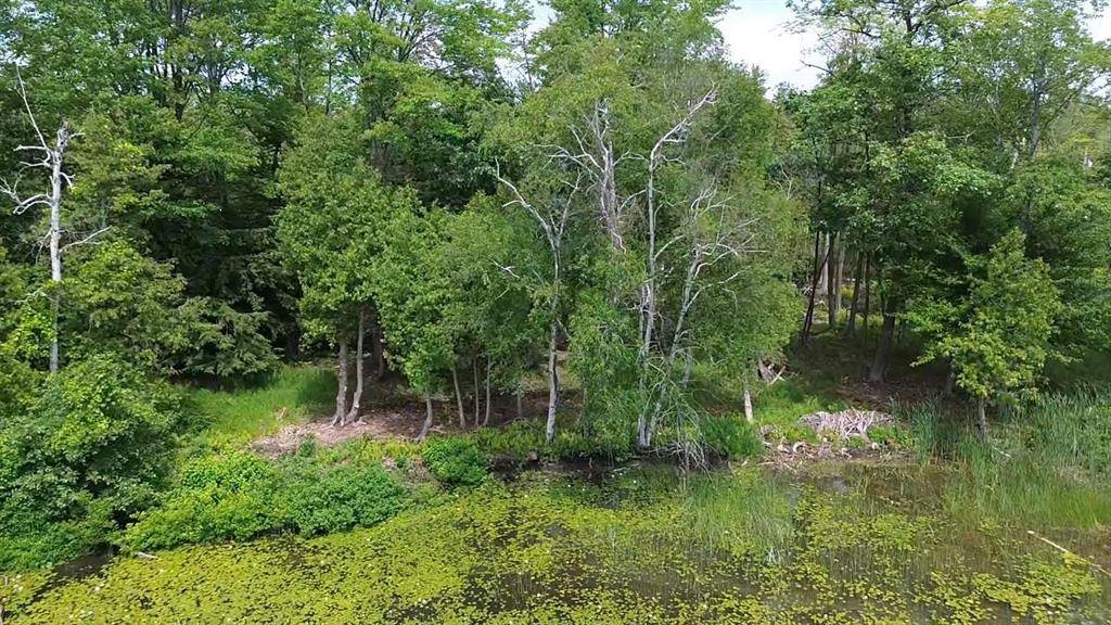 Elk Rapids Twp, MI 49629,0 Partridge Trail
