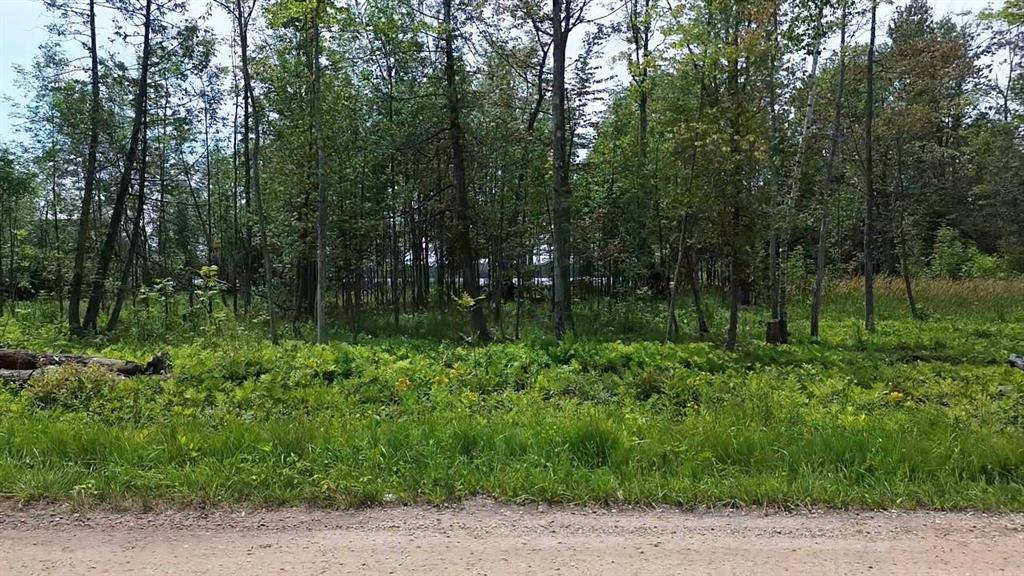 Elk Rapids Twp, MI 49629,0 Partridge Trail