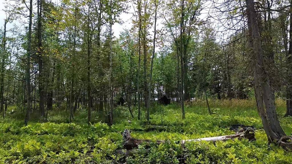 Elk Rapids Twp, MI 49629,0 Partridge Trail