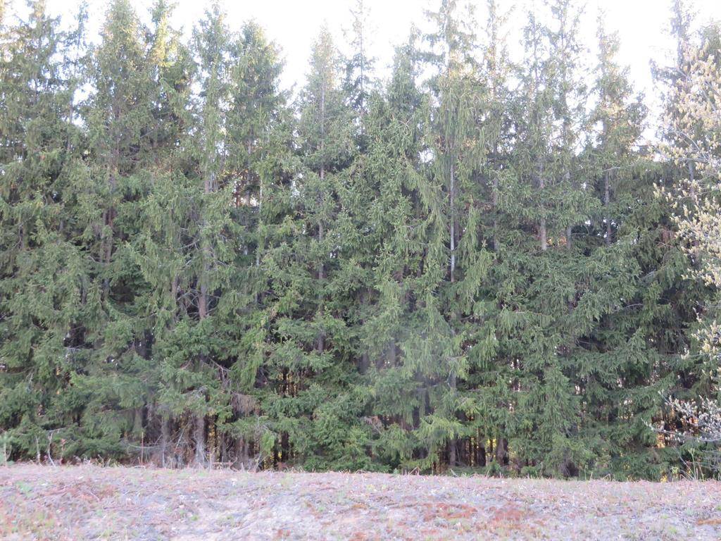 Fife Lake Twp, MI 49633,1015 Spruce Hollow TerraceE