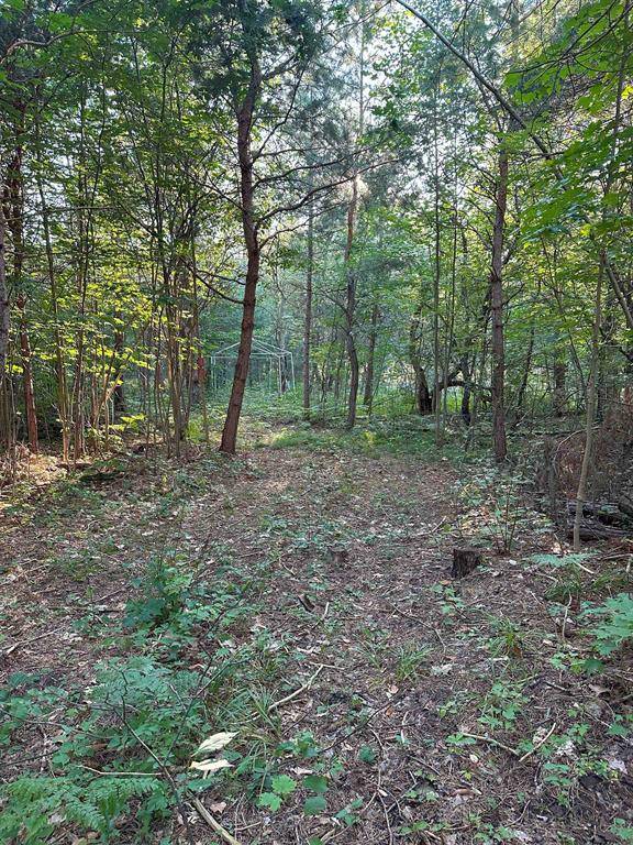 Rapid River Twp, MI 49646,4487 US-131, NE
