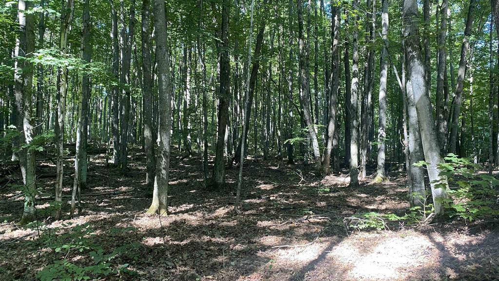 Star Twp, MI 49730,Lot 113 Forestgrove Court Lot: 113