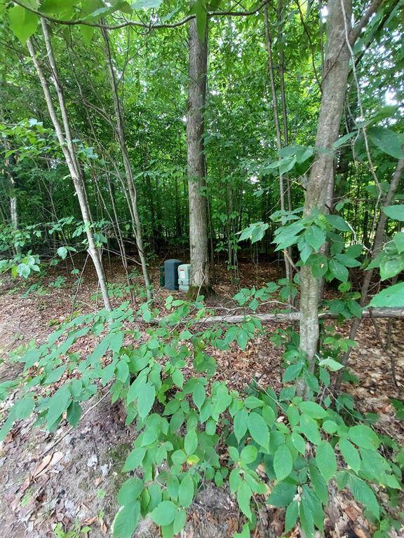 Kearney Twp, MI 49615,197 Hawks Eye Drive Lot: 197