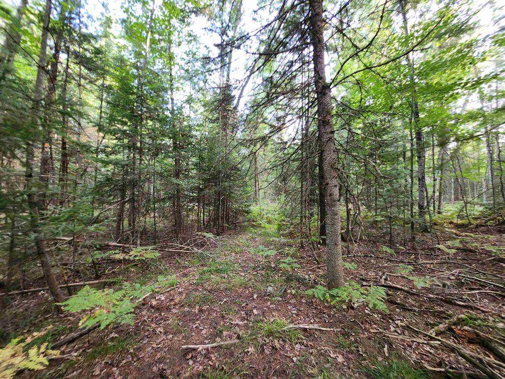 Higgins Twp, MI 48653,AuSable River Trail Lot: 36