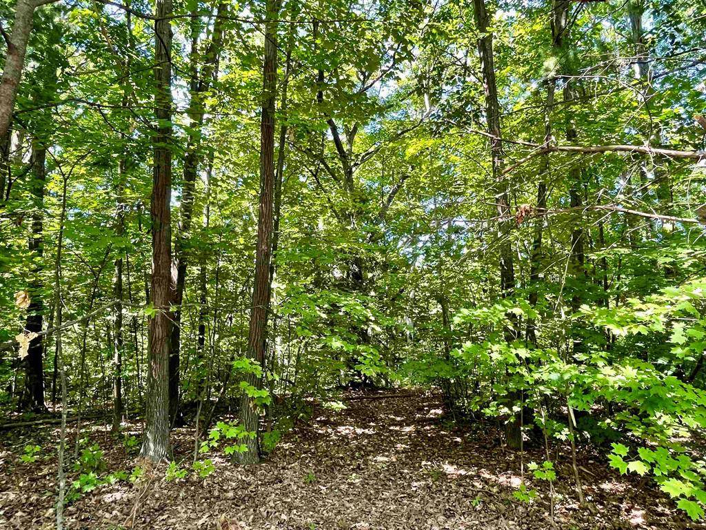Elk Rapids Twp, MI 49690,000 US-31 S
