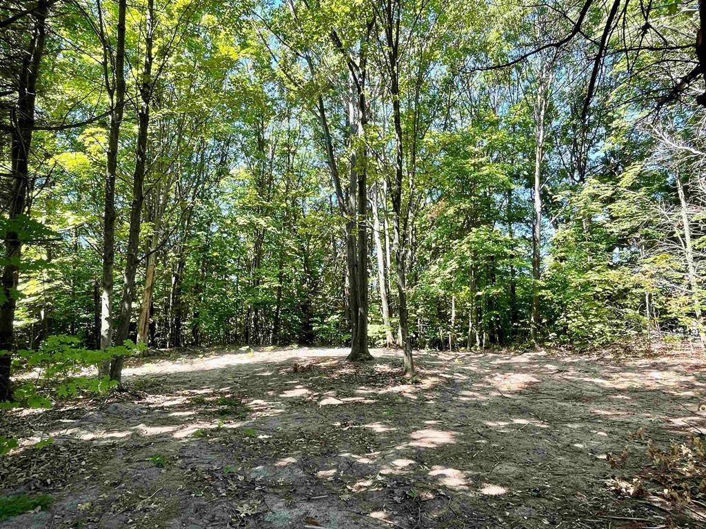 Elk Rapids Twp, MI 49690,000 US-31 S