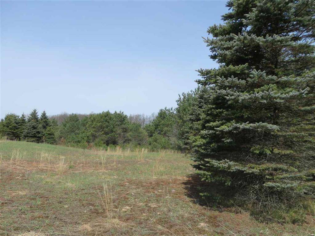 Fife Lake Twp, MI 49633,3 Spruce Hollow TerraceE