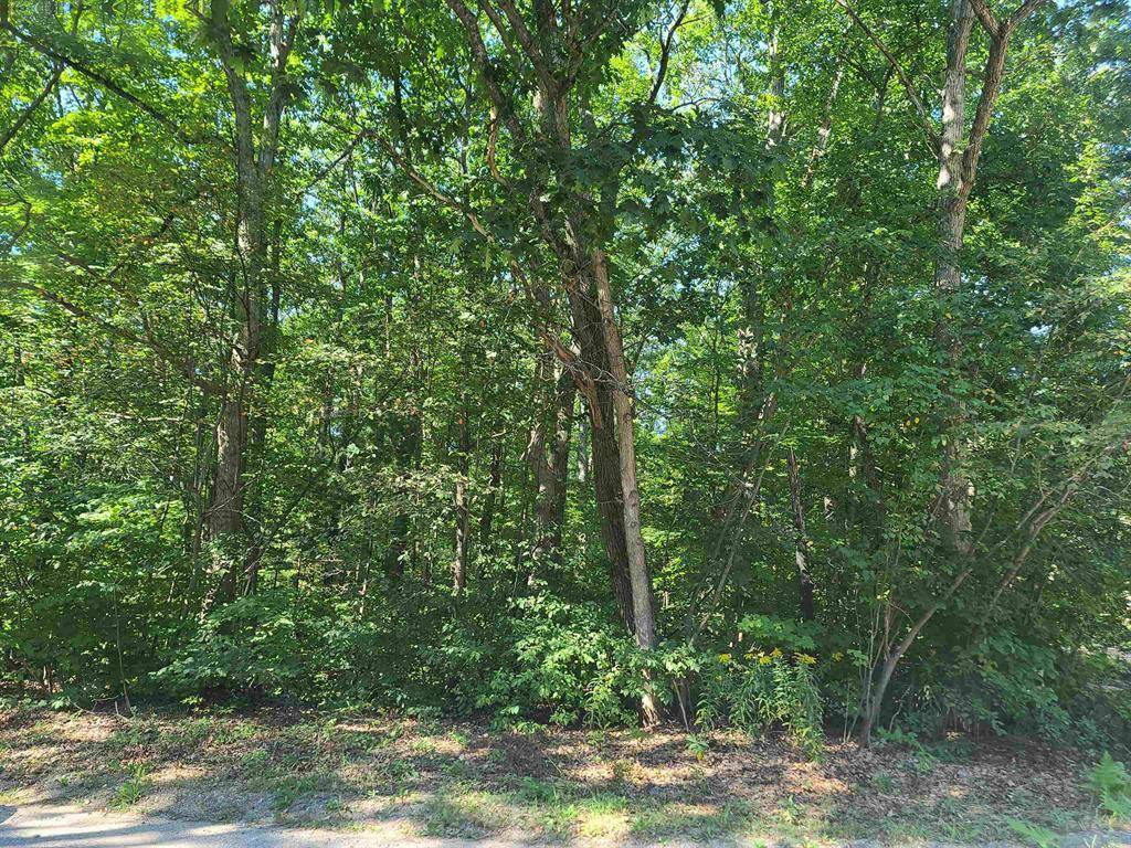 Fife Lake Twp, MI 49633,0000 Elizabeth Street Lot: 11-12