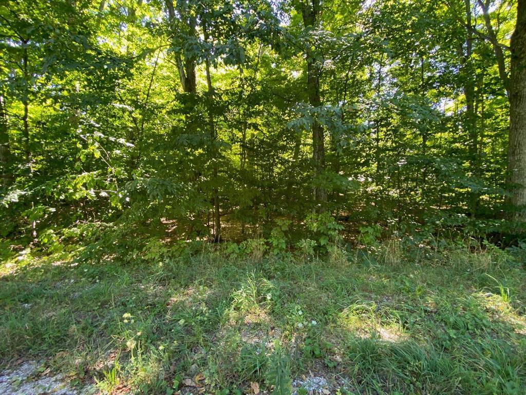 Centerville Twp, MI 49621,Lot 135 E Cherry Lane Lot: 135