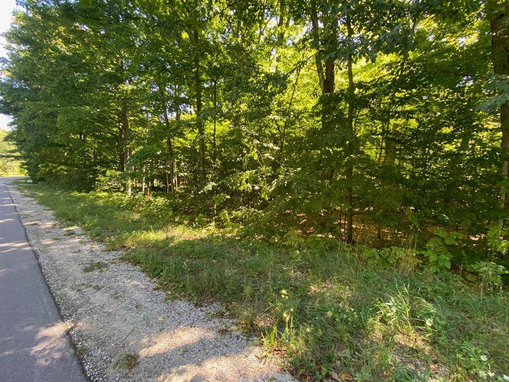 Centerville Twp, MI 49621,Lot 135 E Cherry Lane Lot: 135