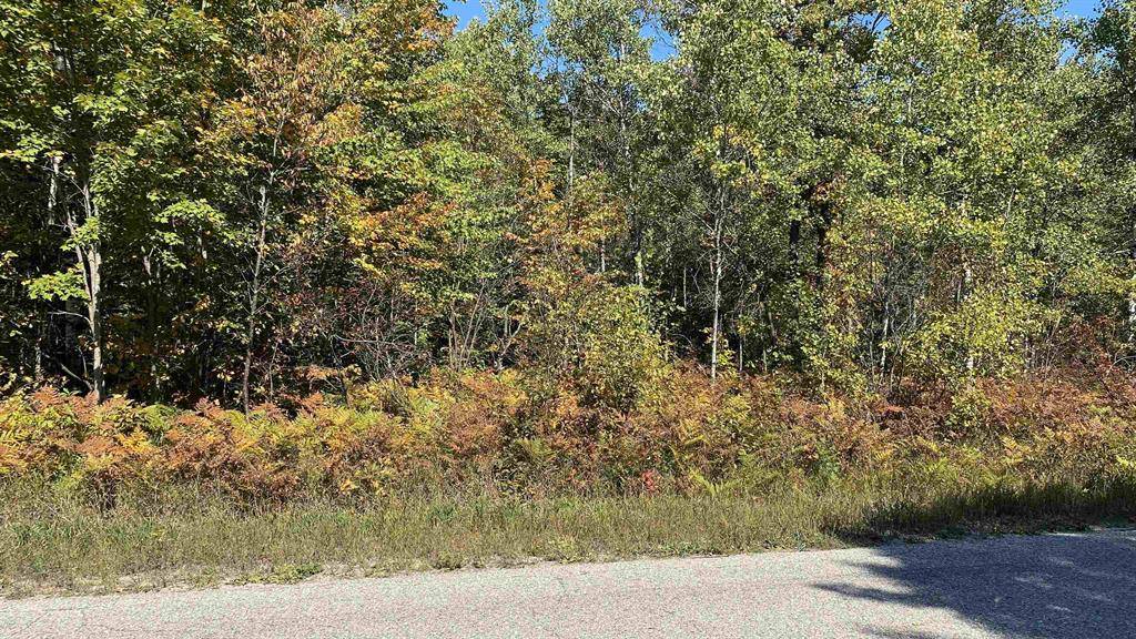Mancelona Twp, MI 49659,Lot 211 Country Club Drive Lot: 211