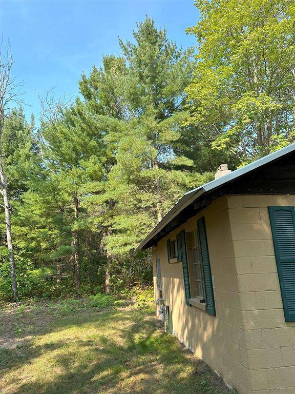 Cold Springs Twp, MI 49646,9591 NE Tower Road