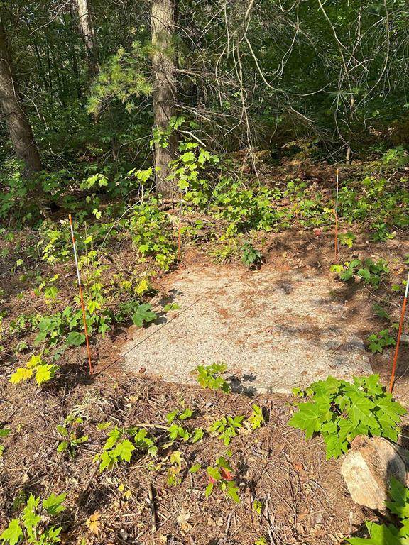 Cold Springs Twp, MI 49646,9591 Tower Road, NE