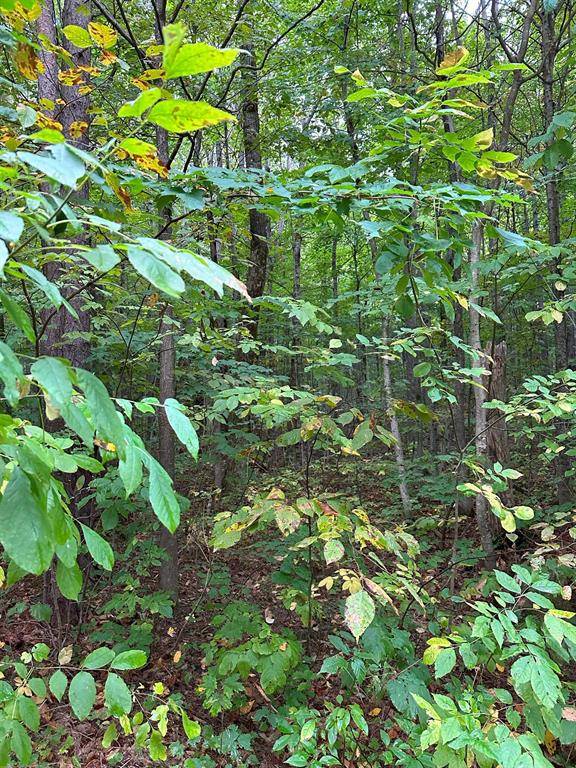 Cold Springs Twp, MI 49646,000 Woodland Drive NE