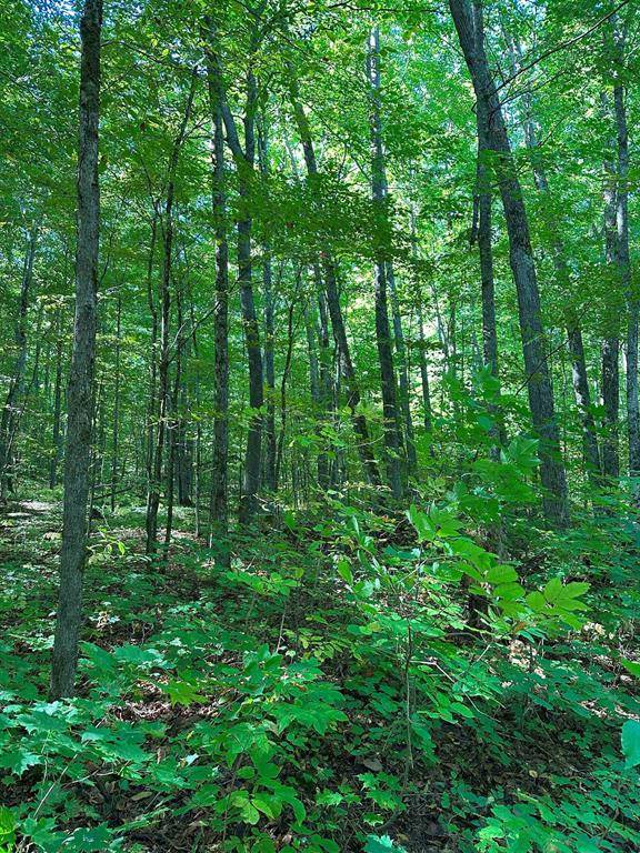 Cold Springs Twp, MI 49646,000 Woodland Drive NE