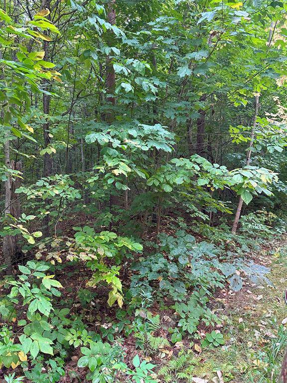 Cold Springs Twp, MI 49646,000 Woodland Drive NE