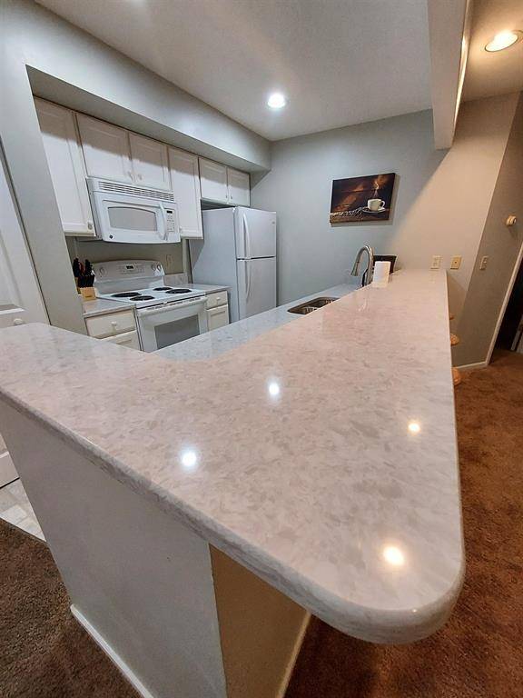 Custer Twp, MI 49615,6493 Deer Path 103