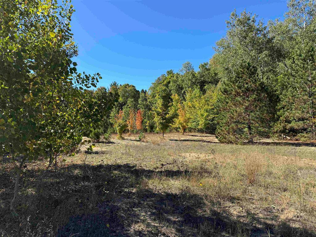 Hanover Twp, MI 49620,Lot 280 Ottawa Trail