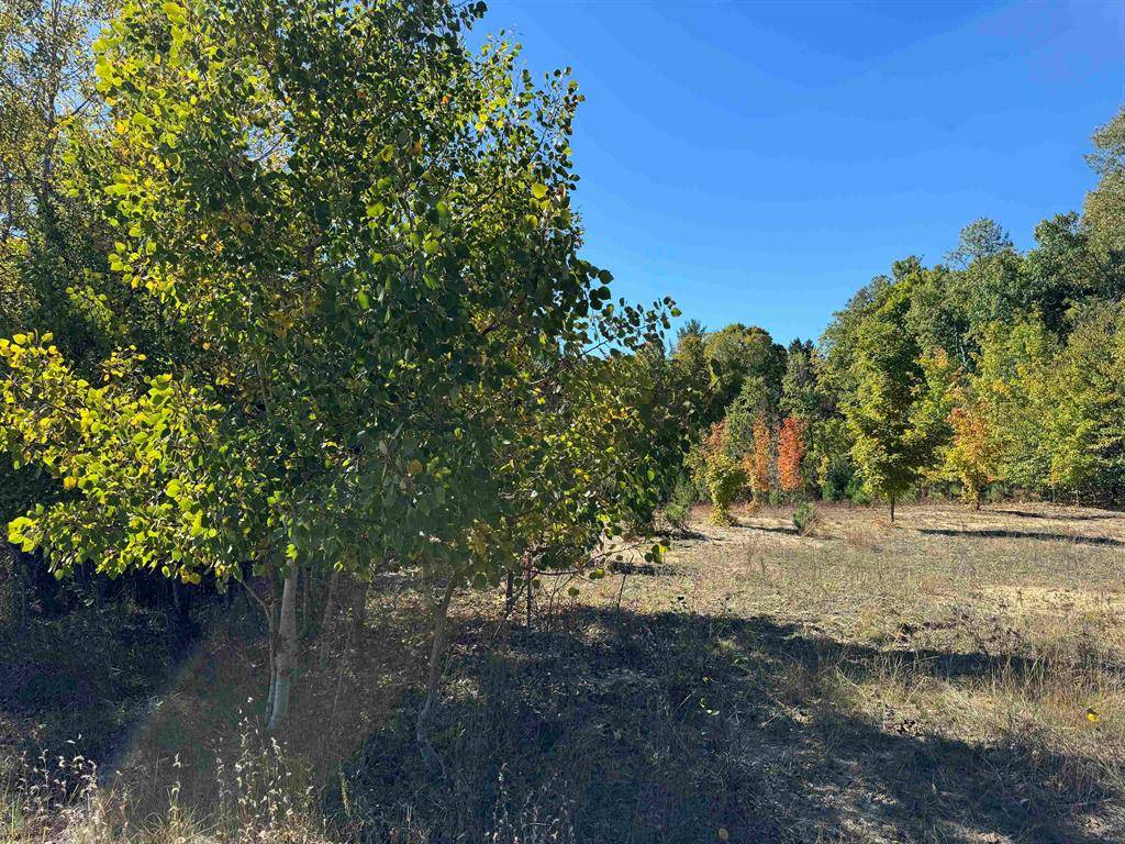 Hanover Twp, MI 49620,Lot 280 Ottawa Trail