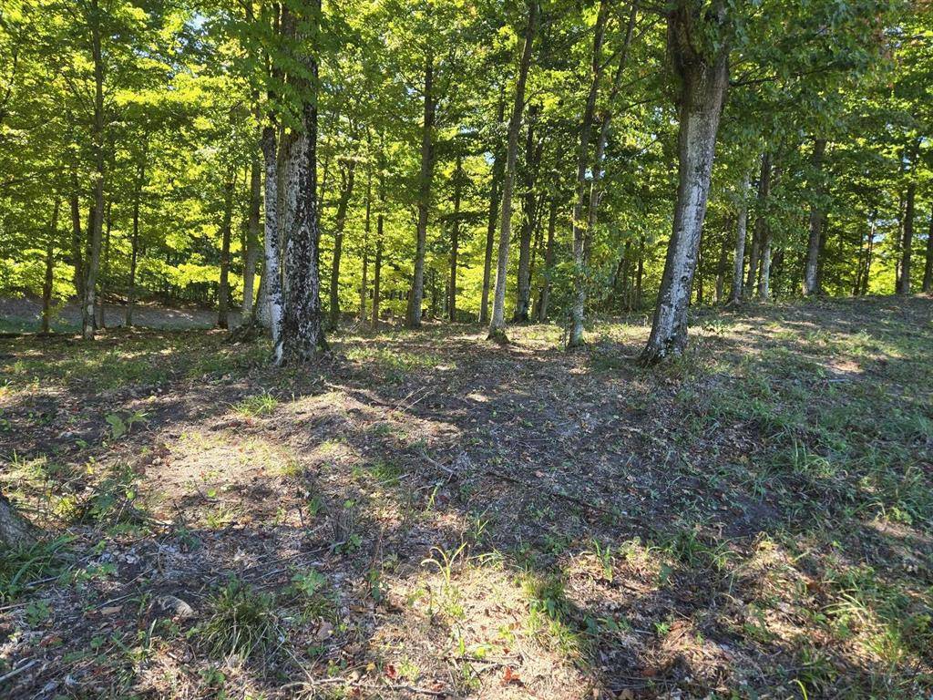 Homestead Twp, MI 49617,0023 Heather Ridge Trail