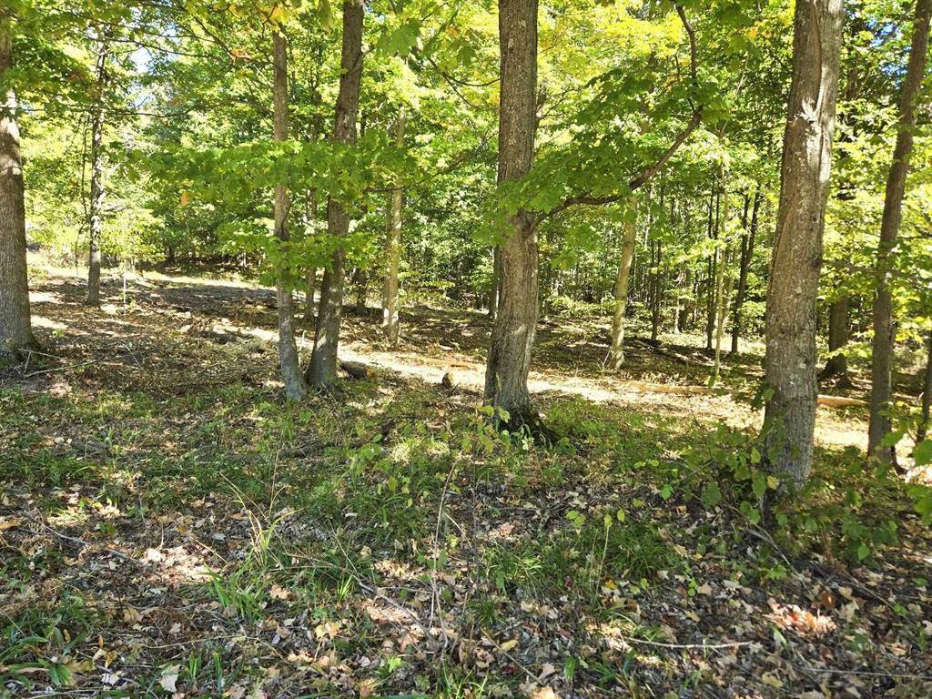 Homestead Twp, MI 49617,0025 Heather Ridge Trail