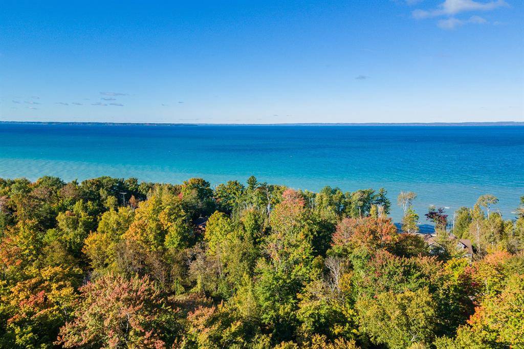 Torch Lake Twp, MI 49648,567 Yellow Birch Drive