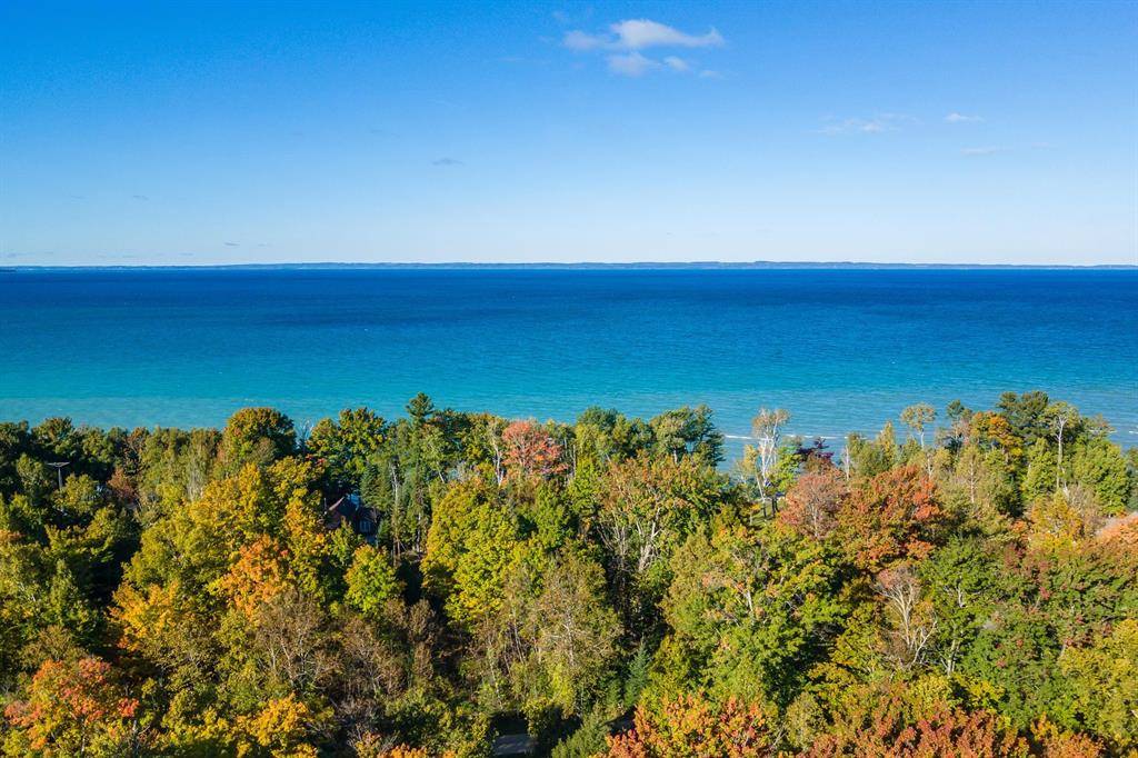 Torch Lake Twp, MI 49648,567 Yellow Birch Drive