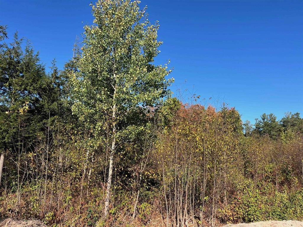 Long Lake Twp, MI 49685,08 Hemlock Hill Drive Lot: 8