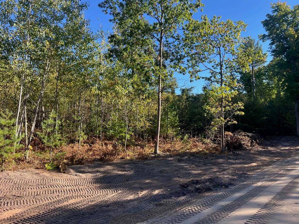 Long Lake Twp, MI 49685,17 Hemlock Hill Drive Lot: 17