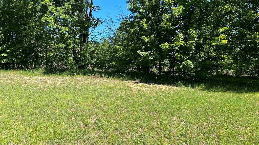 Kalkaska Twp, MI 49646,1983 Bunker Drive NE Lot: 22