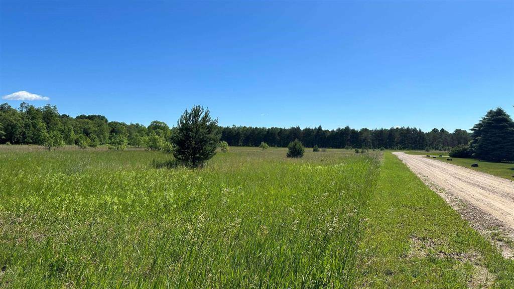 Excelsior Twp, MI 49646,21 Kleehammer Club Drive Lot: 1