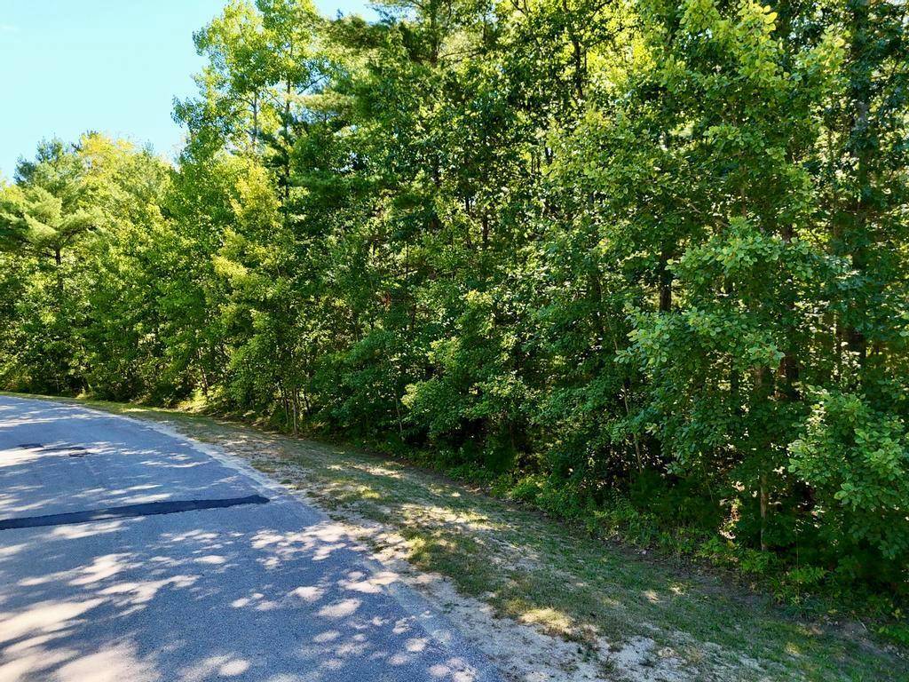 Kalkaska Twp, MI 49646,2080 Driftwood Lane Lot: 33