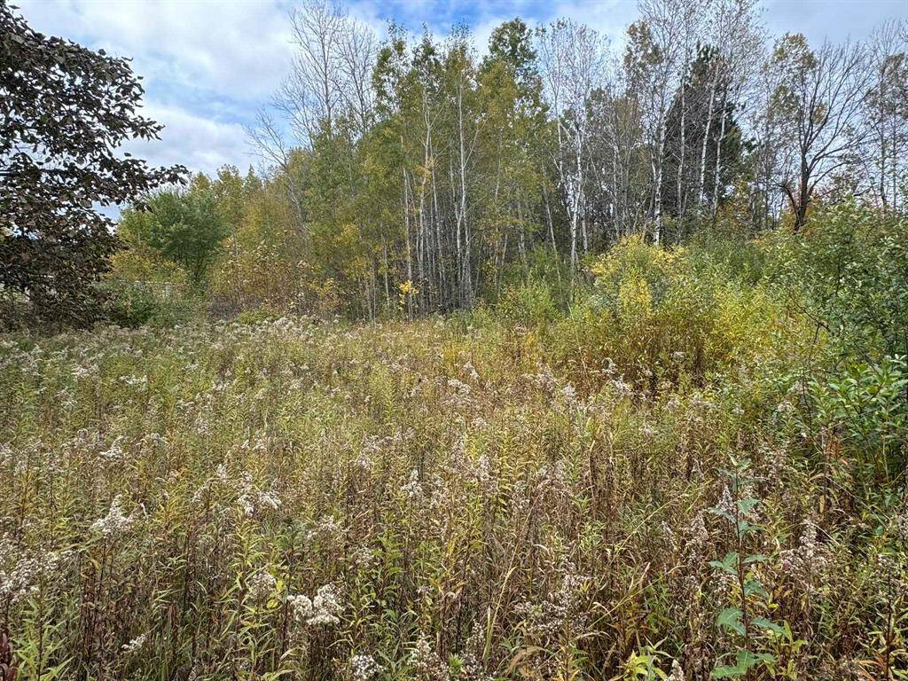 Boon Twp, MI 49638,124 W Prospect Avenue
