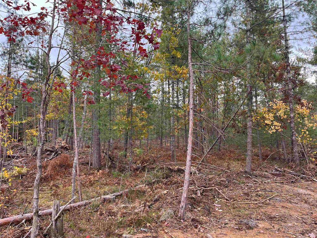 Boardman Twp, MI 49680,Twin Trail Lot: C