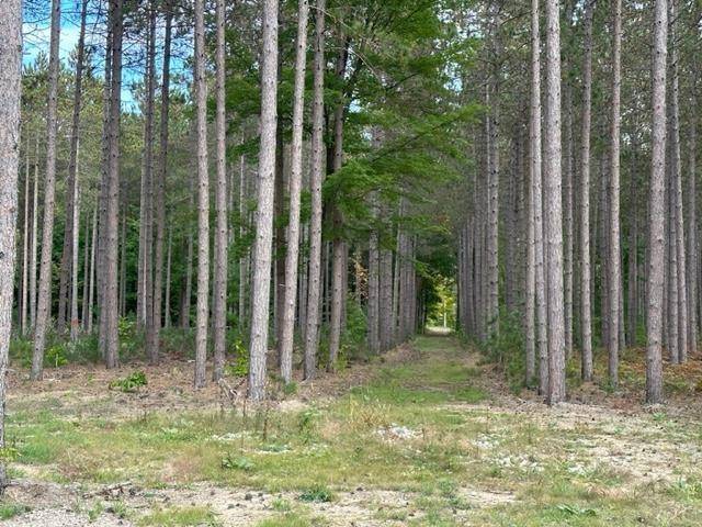 Long Lake Twp, MI 49685,Lot 22 Cascade Trail Lot: 22