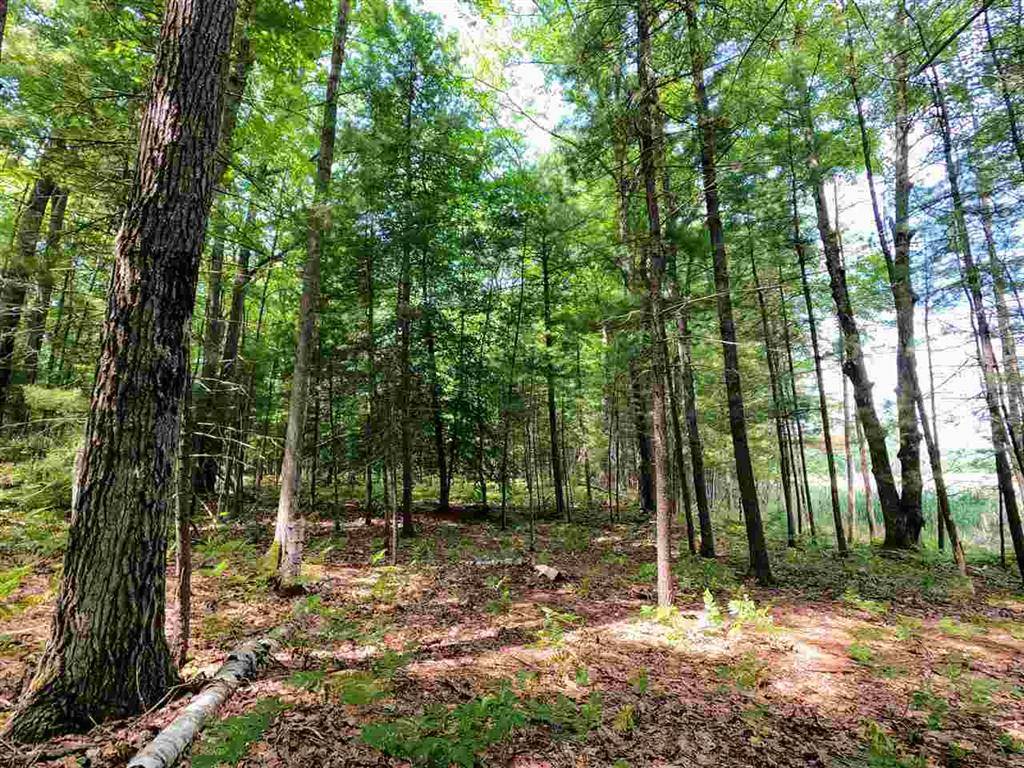 Orange Twp, MI 49646,864 SE Blue Heron Drive
