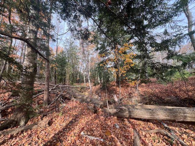 Leelanau Twp, MI 49670,Parcel B North Shore Drive