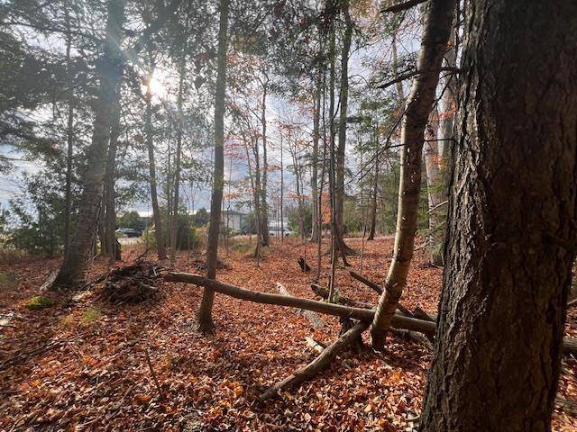 Leelanau Twp, MI 49670,Parcel B North Shore Drive