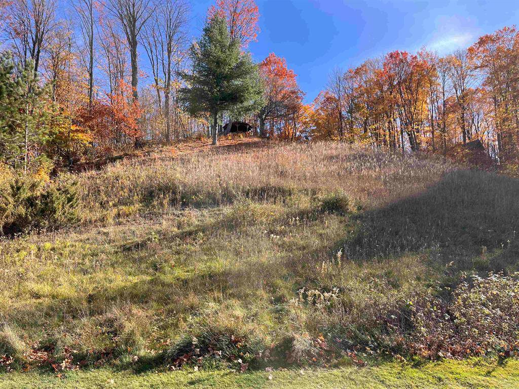 Kearney Twp, MI 49615,VL Deskin Drive