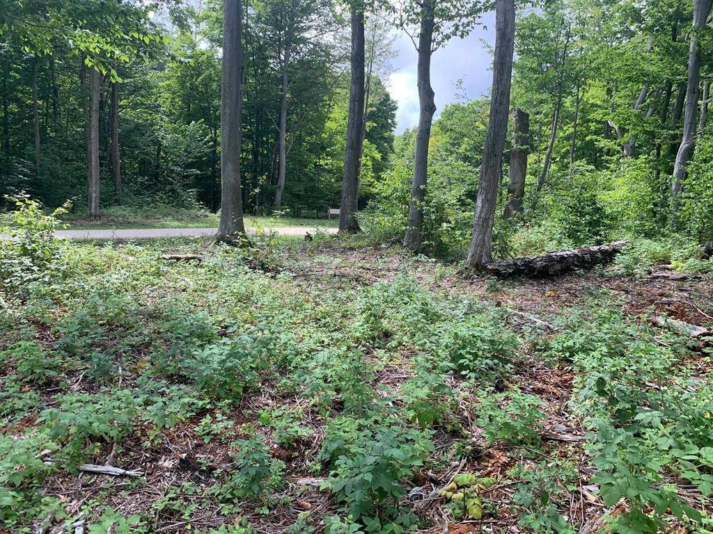 Empire Twp, MI 49630,6388 Kettle Way Lot #1 Lot: 1