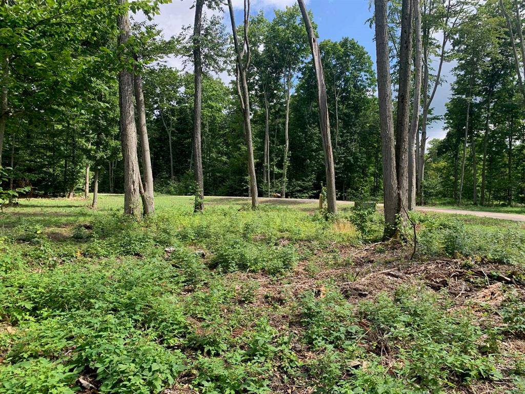 Empire Twp, MI 49630,6388 Kettle Way Lot #1 Lot: 1